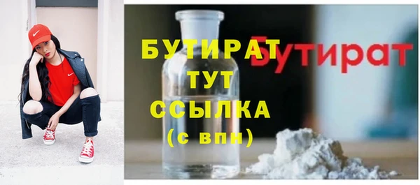 сатива Великий Новгород